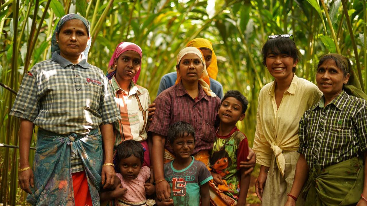 Spicetree Rajakumari Munnar Bagian luar foto